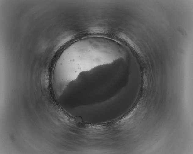 X0000111371213200907101204