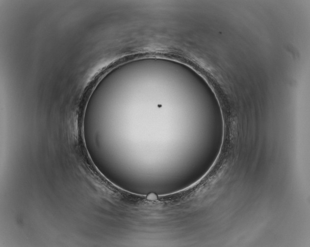 X0000111371214200907101204