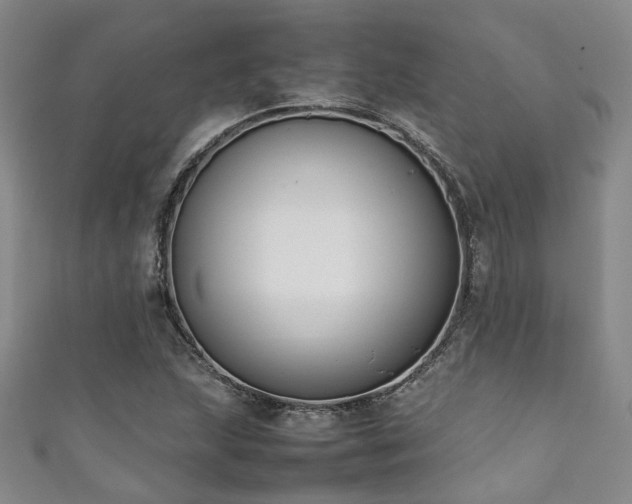 X0000111371215200907101204