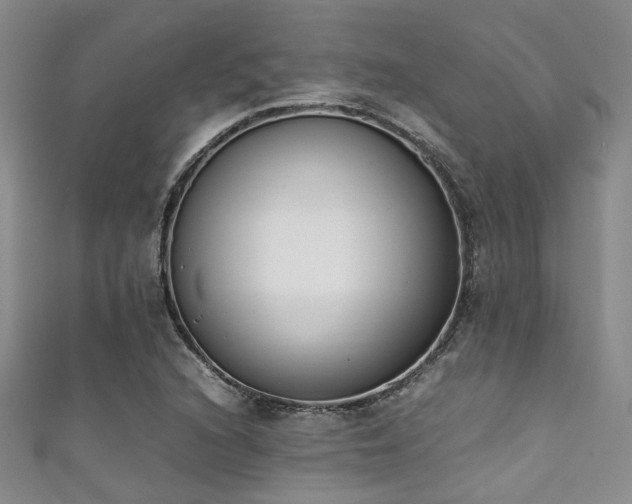 X0000111371216200907101204