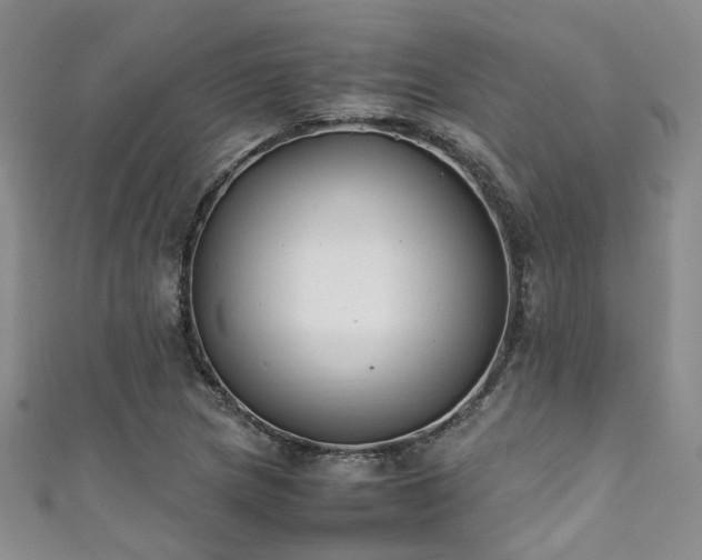 X0000111371217200907101204