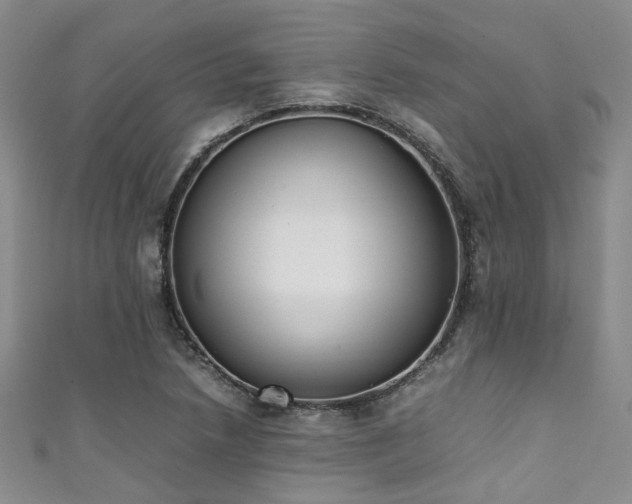X0000111371218200907101204
