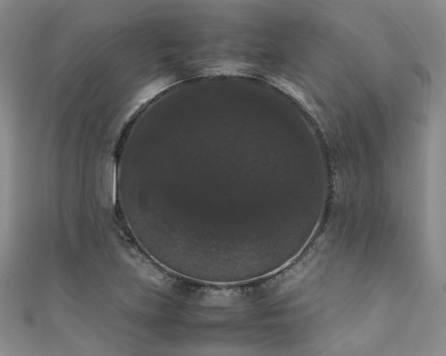 X0000111371219200907101204