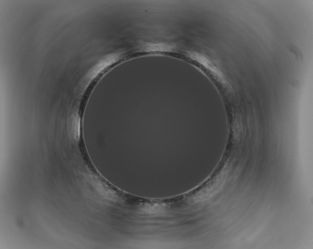 X0000111371221200907101204