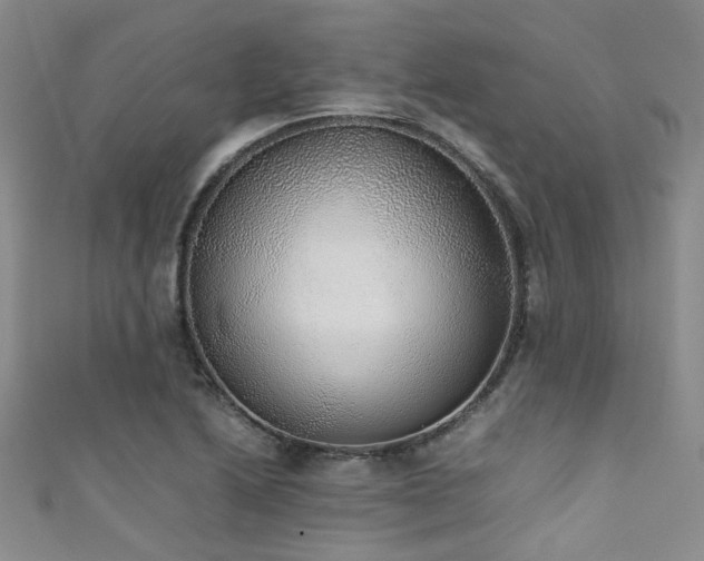 X0000111371222200907101204