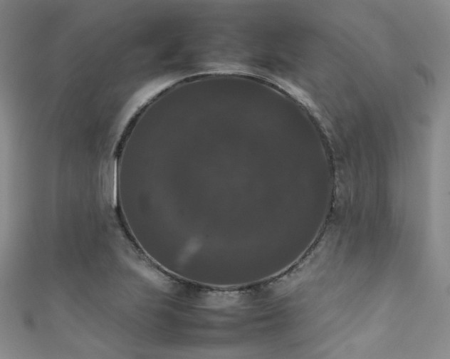 X0000111371223200907101204