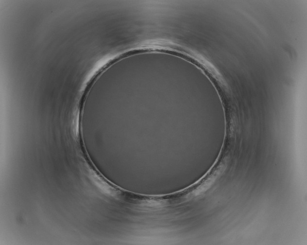 X0000111371224200907101204