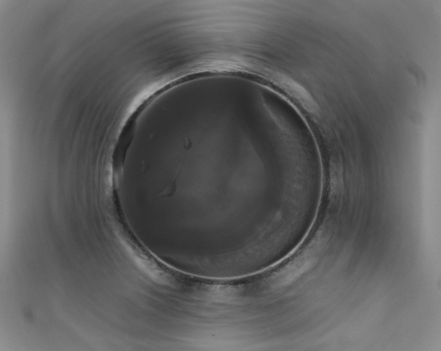 X0000111371226200907101204