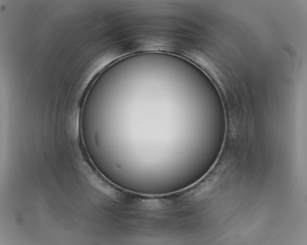 X0000111371227200907101204