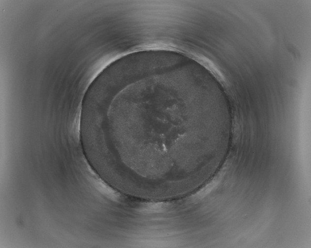 X0000111371228200907101204