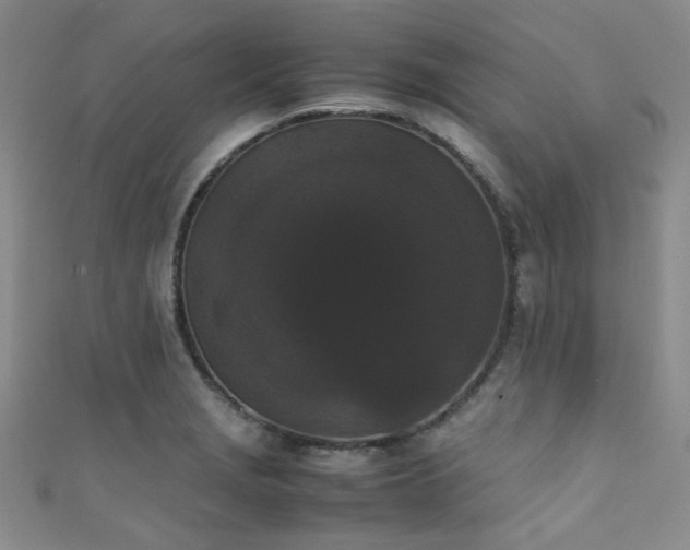 X0000111371229200907101204