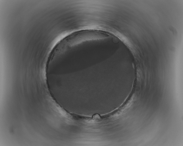 X0000111371230200907101204