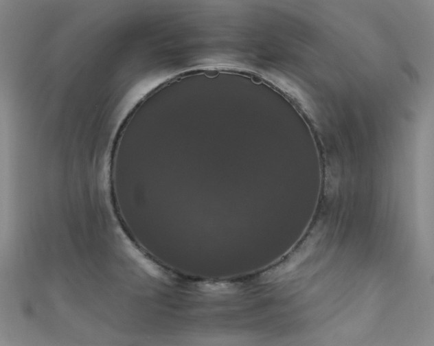 X0000111371231200907101204