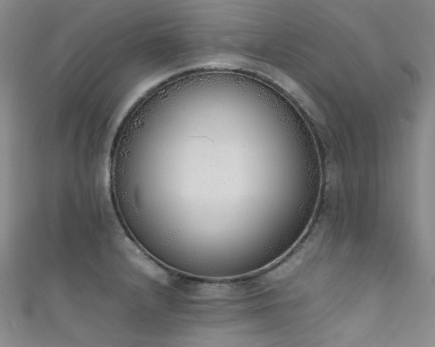 X0000111371232200907101204