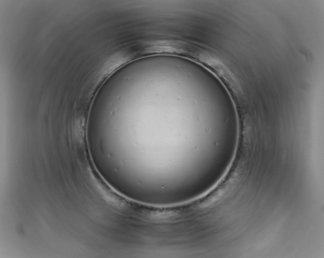 X0000111371233200907101204