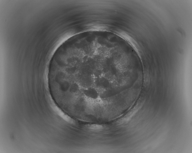 X0000111371235200907101204