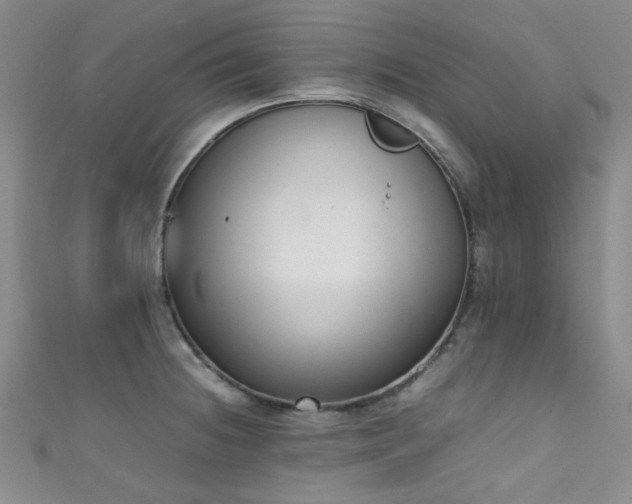 X0000111371236200907101204