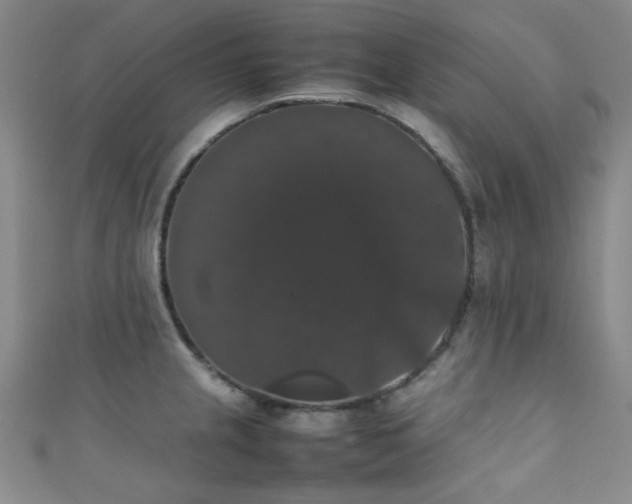 X0000111371237200907101204
