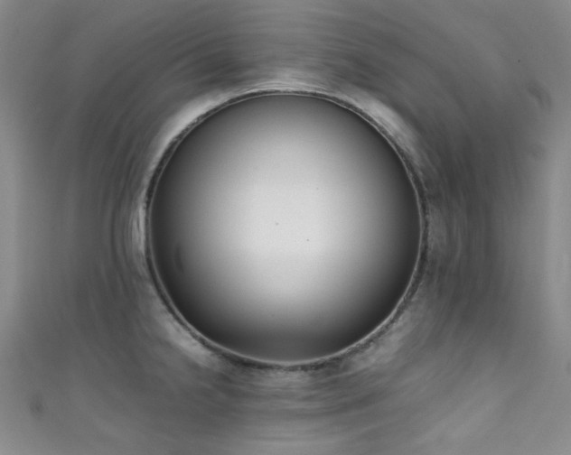 X0000111371238200907101204