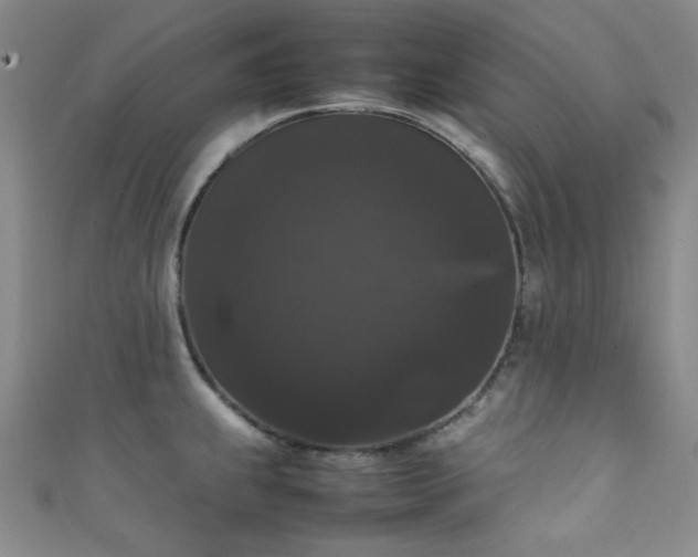 X0000111371239200907101204