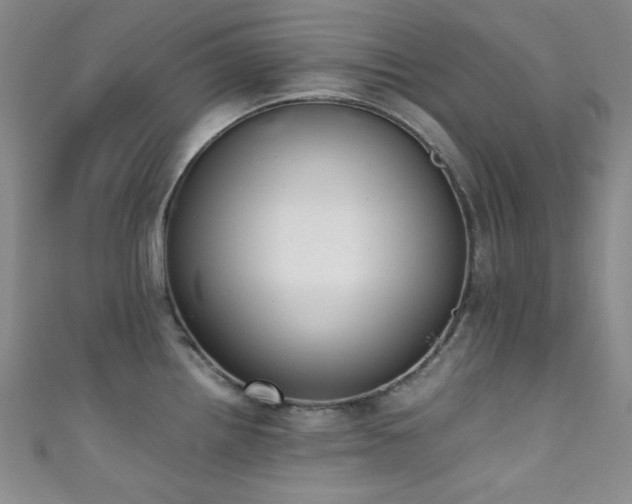 X0000111371242200907101204