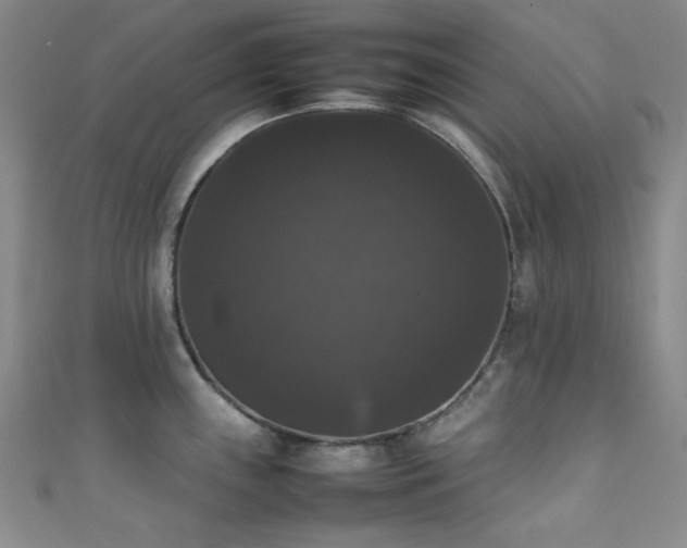 X0000111371243200907101204