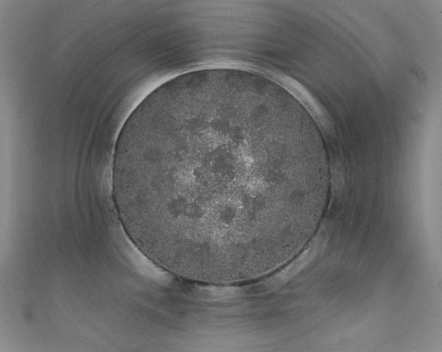 X0000111371244200907101204