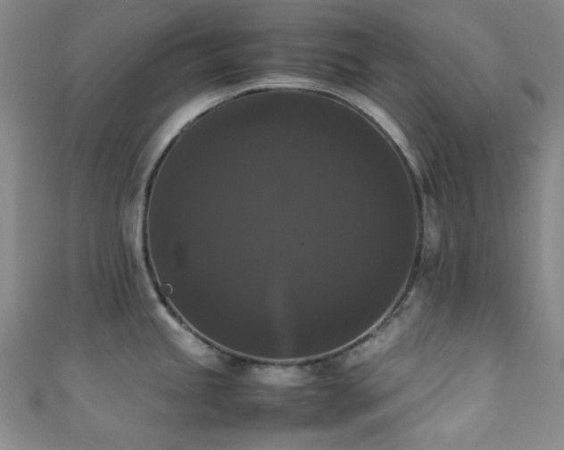 X0000111371245200907101204