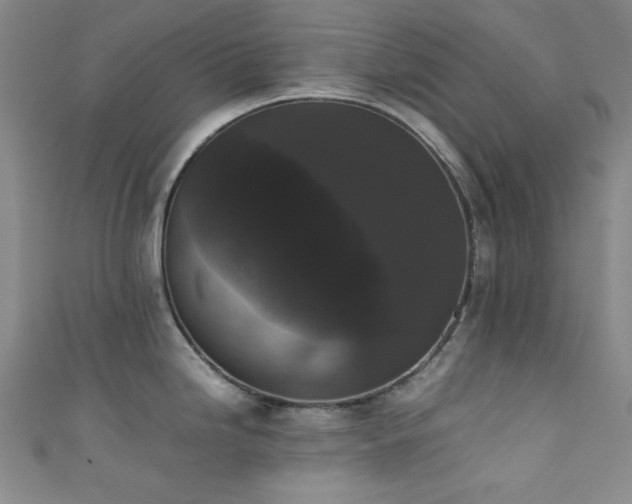 X0000111371246200907101204