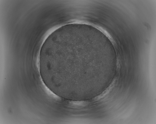 X0000111371247200907101204