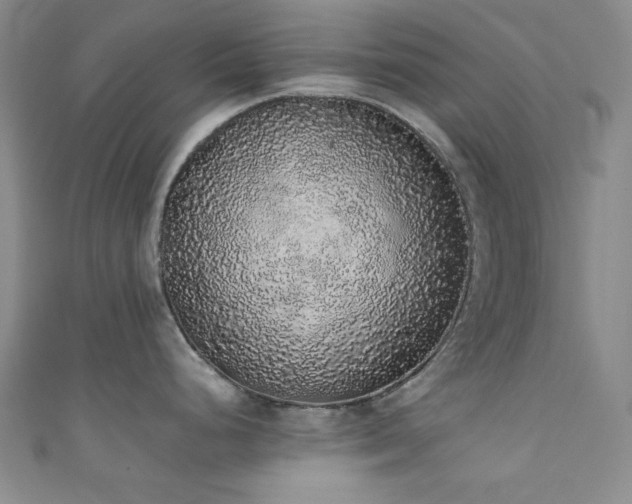 X0000111371248200907101204