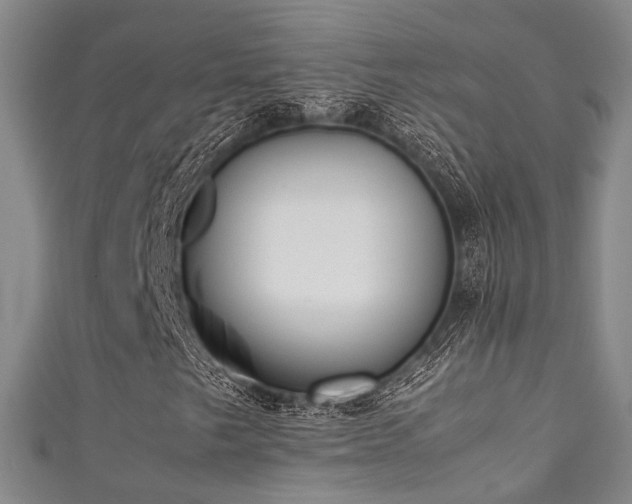 X0000111371249200907101204