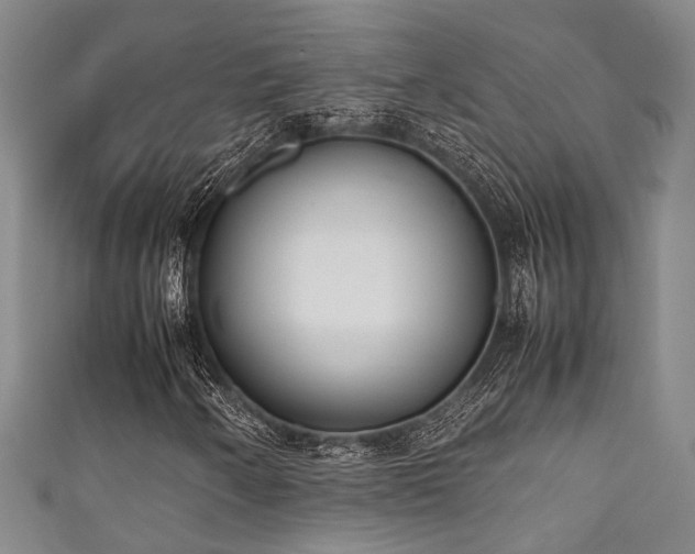 X0000111371250200907101204