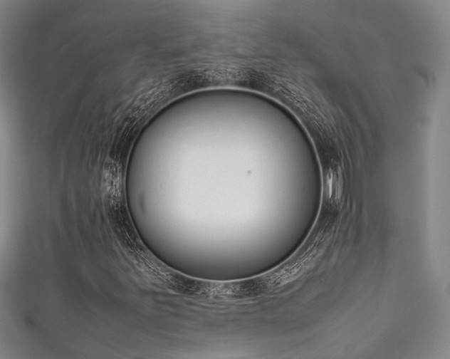 X0000111371251200907101204