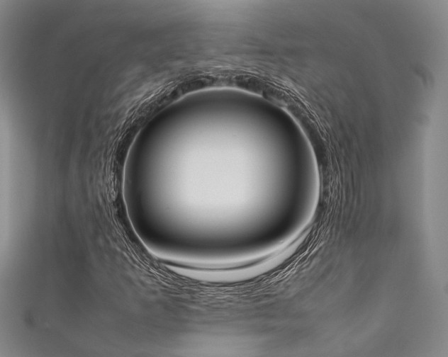X0000111371253200907101204