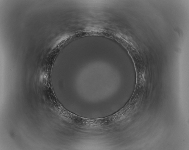 X0000111371254200907101204