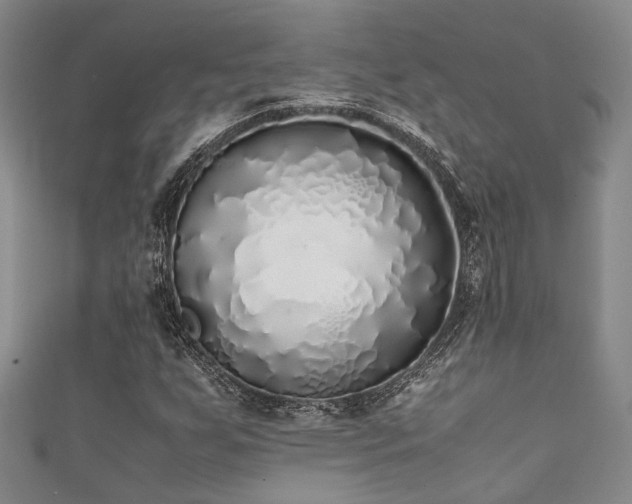 X0000111371255200907101204