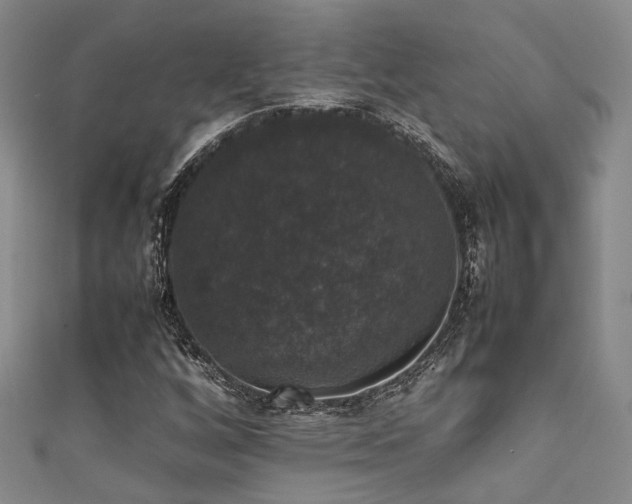 X0000111371256200907101204