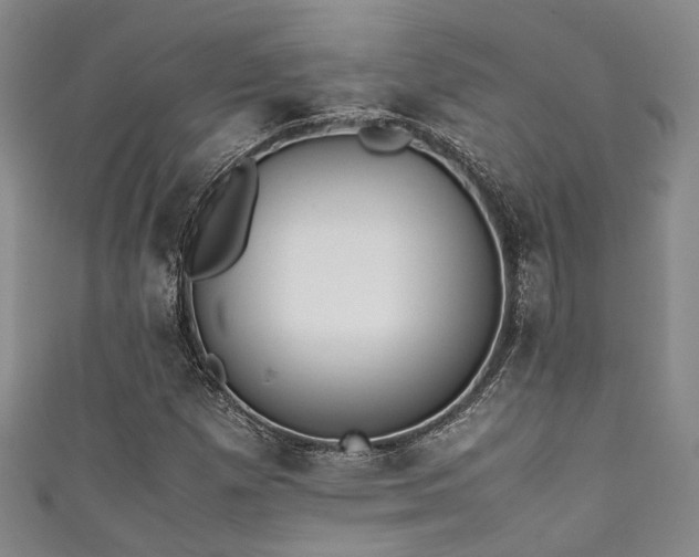 X0000111371257200907101204