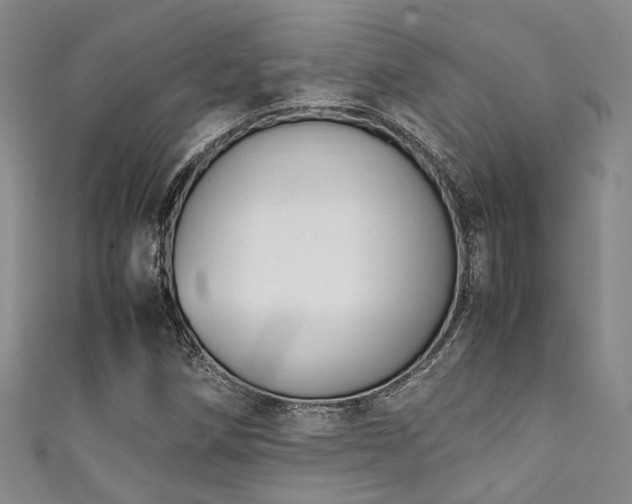 X0000111371258200907101204