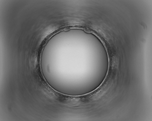 X0000111371261200907101204