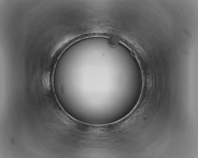 X0000111371262200907101204