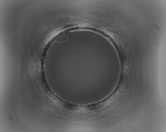 X0000111371263200907101204