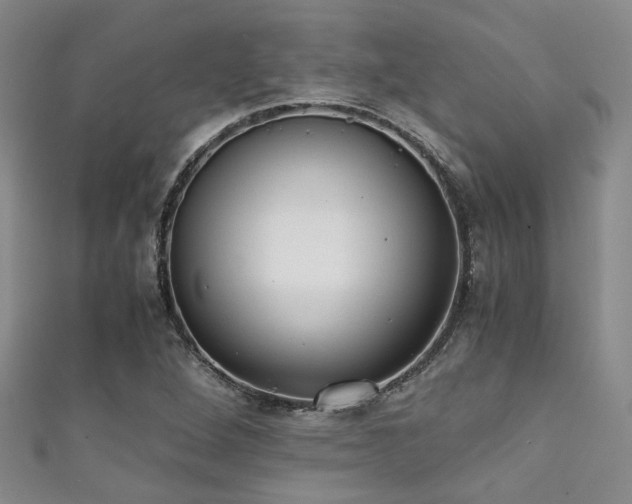 X0000111371264200907101203