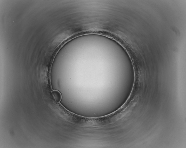X0000111371265200907101203