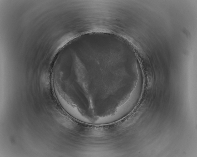 X0000111371266200907101203