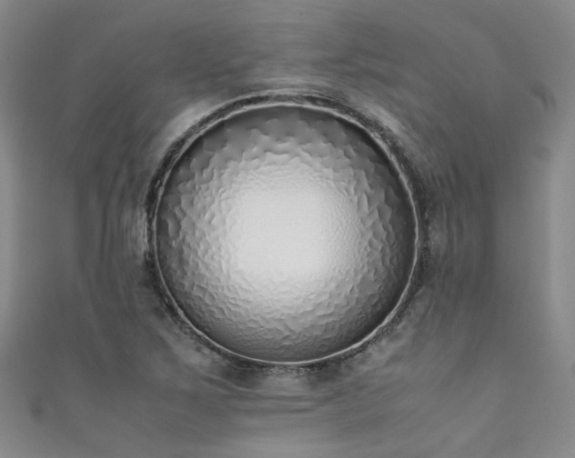 X0000111371267200907101203