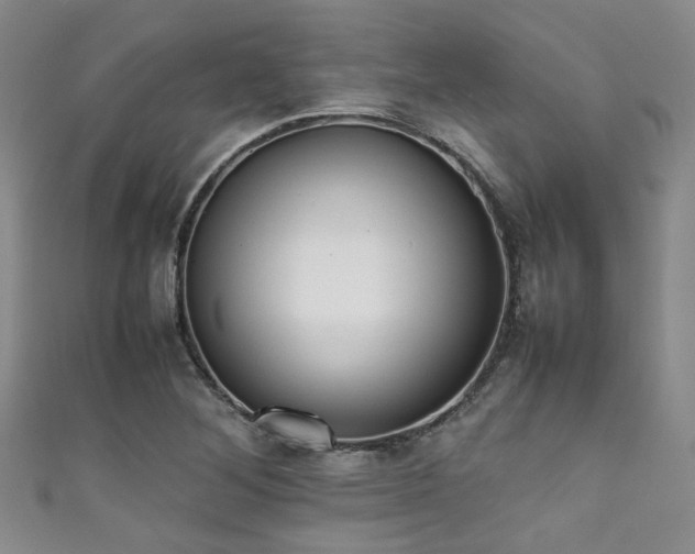 X0000111371268200907101203