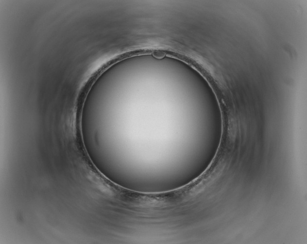 X0000111371270200907101203