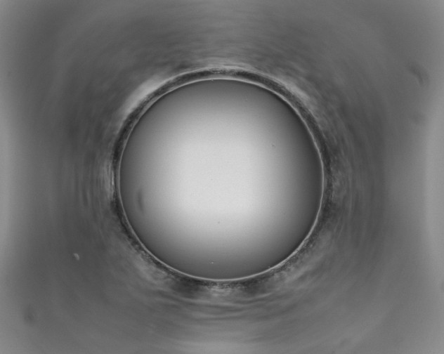 X0000111371271200907101203